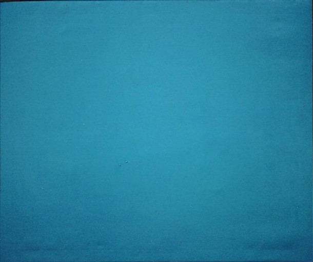 bleu de fleurs bleues